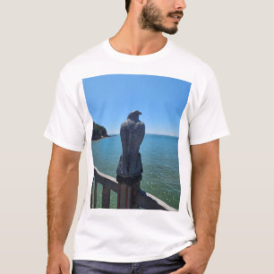 Camiseta T-shirts básicas de águia
