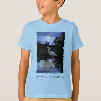Camiseta T-shirts e T-shirts HERON AZUL excelente