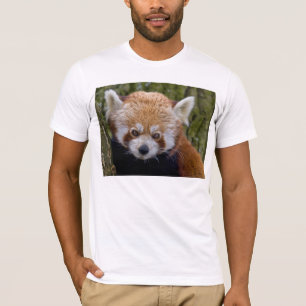 Camiseta T vermelho do bandido