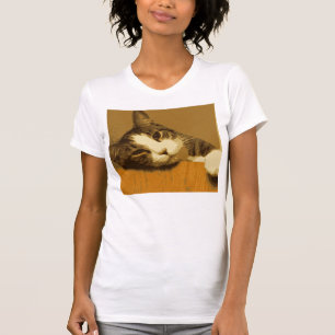 Camiseta Tabby
