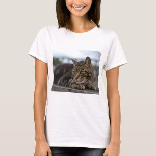 Camiseta Tabby cat pronto para ação
