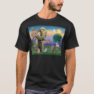 Camiseta Tabby Norway Forest Cat - Rua Francis