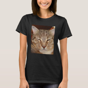 Camiseta Tabby Tiger Cat