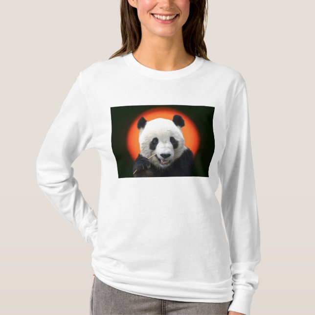 CAMISETA TAI SHAN (Frente)