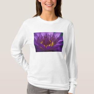 Camiseta Tailândia, Banguecoque, Lótus roxo e amarelo 2