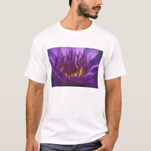 Camiseta Tailândia, Banguecoque, Lótus roxo e amarelo 2
