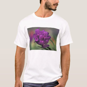 Camiseta Tailândia, norte da Tailândia, perto de Chang Mai,