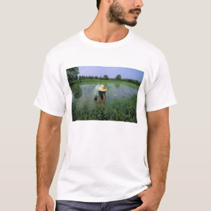 Camiseta Tailândia, Sukhothai. Agricultor de arroz. SR.