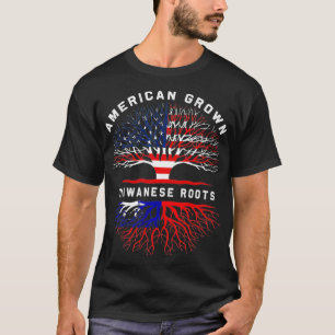 Camiseta Taiwan Roots American Grown Tree Family Heritag