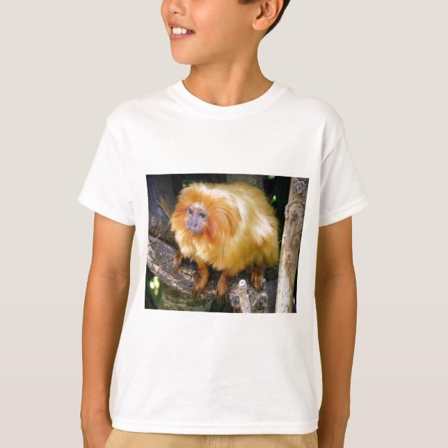 Camiseta Tamarin dourado do leão (Frente)