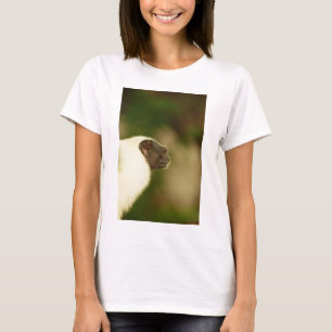 Camiseta Tamarin Pied