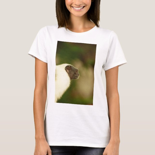 Camiseta Tamarin Pied (Frente)
