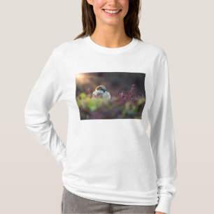 Camiseta Tampão de banho solar