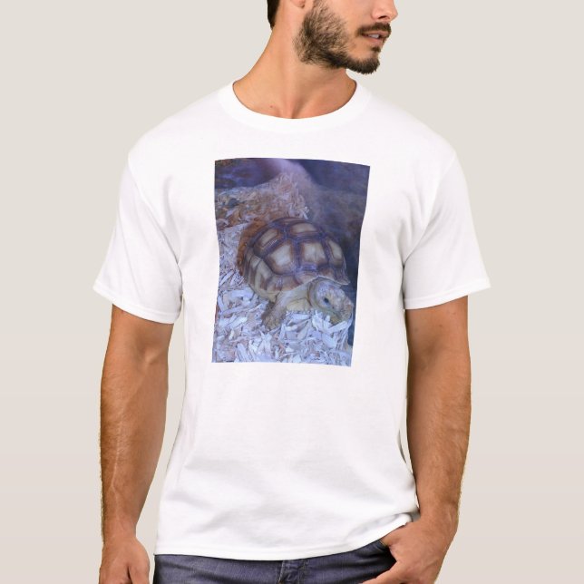 Camiseta Tartaruga (Frente)