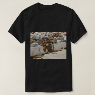 Camiseta Tartaruga