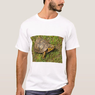 Camiseta Tartaruga-da-caixa-de-olhos vermelhos