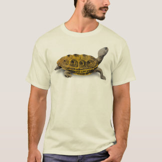Camiseta Tartaruga de água doce de Diamondbacks