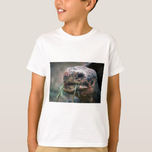 Camiseta Tartaruga de Galápagos, Ilhas Galápagos