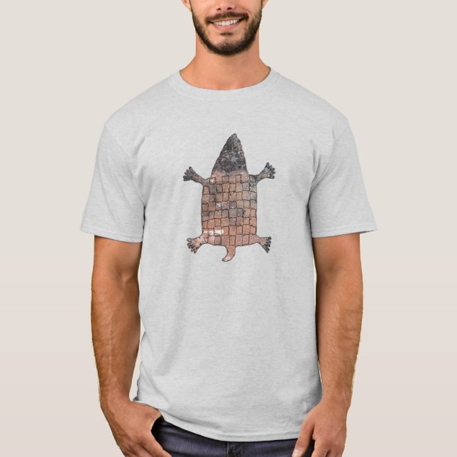 Camiseta Tartaruga Estilizada - Mimbres Pottery Design (Frente)