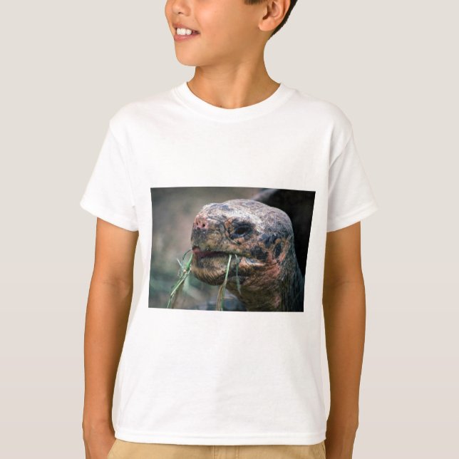 Camiseta Tartaruga Galápagos, Ilhas Galápagos (Frente)