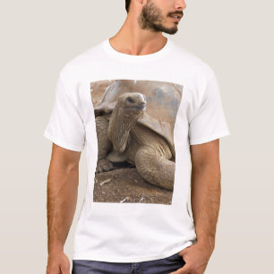 Camiseta Tartaruga terrestre de Seychelle Aldabran