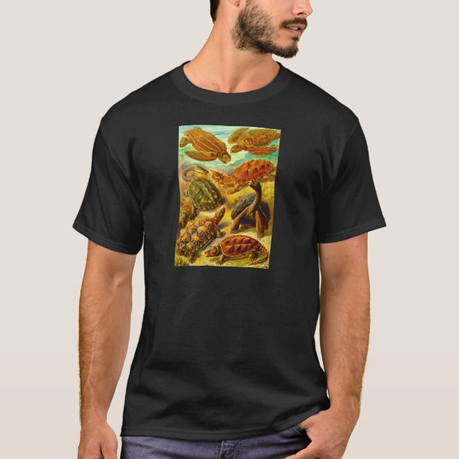 Camiseta Tartarugas (Frente)