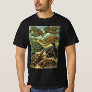 Camiseta Tartarugas Marinhas e Jabutis Antigos por Ernst Ha