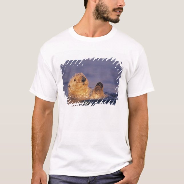 Camiseta Tartarugas marinhas, Enhydra lutris 2 (Frente)