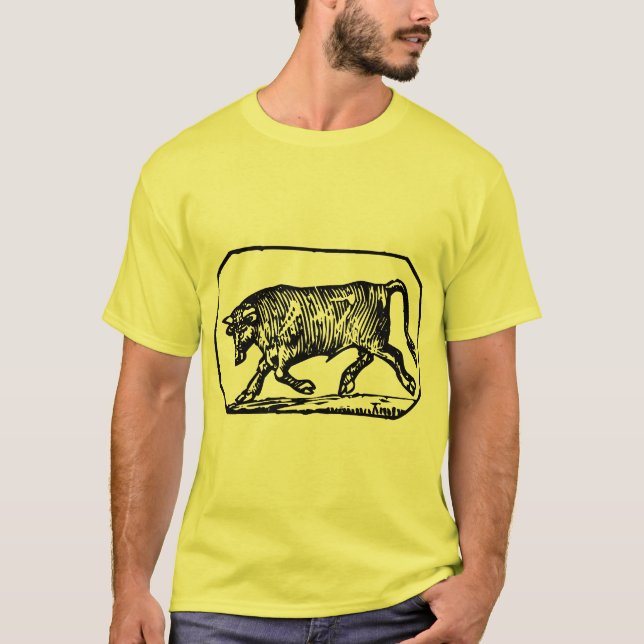 Camiseta Taurus - sem rótulo - personalizado (Frente)