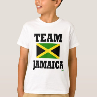 Camiseta teamjam1