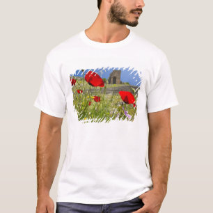 Camiseta Teatro antigo na Acrópole de Pérgamo