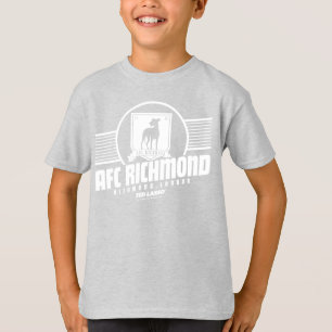 Camiseta Ted Lasso AFC Richmond - Gráfico de distribuição
