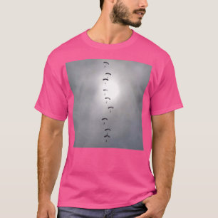 Camiseta Tela de Paraquedas RAF Falcons