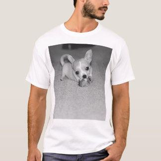Camiseta Telula a chihuahua!!