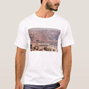 Camiseta Templo de Apollo Epikourios, c.450-20 BC