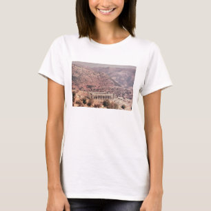 Camiseta Templo de Apollo Epikourios, c.450-20 BC