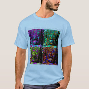 Camiseta Templo de Bayon