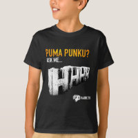 Templo de Punku do puma