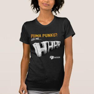 Camiseta Templo de Punku do puma