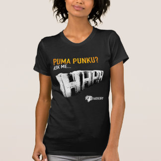 Camiseta Templo de Punku do puma