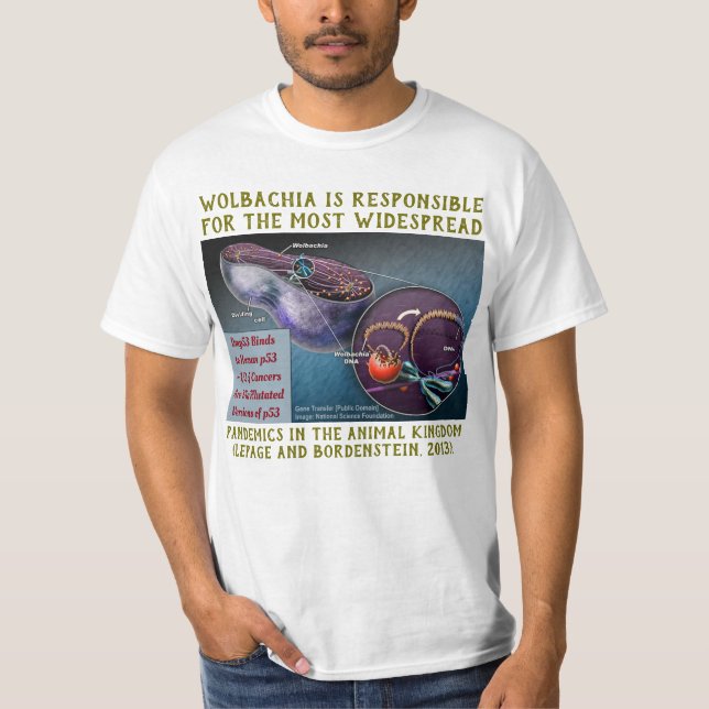 Camiseta Tempo ao advogado acima por RoseWrites (Frente)