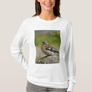 Camiseta Tentilhão-comum-macho (WILD: Fringilla coelebs)