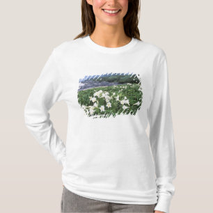 Camiseta Teppo Yuri (Lírio), Yakushima, Kagoshima, Japão