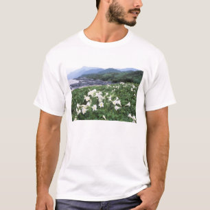 Camiseta Teppo Yuri (Lírio), Yakushima, Kagoshima, Japão