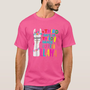Camiseta Terceiros Dias De Professora Do Sexto Grau Sem Pro