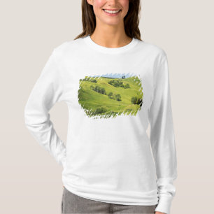 Camiseta Terra agrícola perto de Gisborne, Nova Zelândia