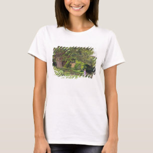 Camiseta Terra comum de Hayes, 1852-53 (óleo em canvas)