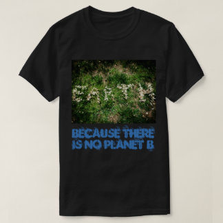 Camiseta Terra e alterações climáticas