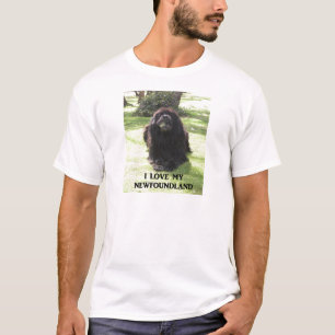 Camiseta Terra Nova amor w pic.png