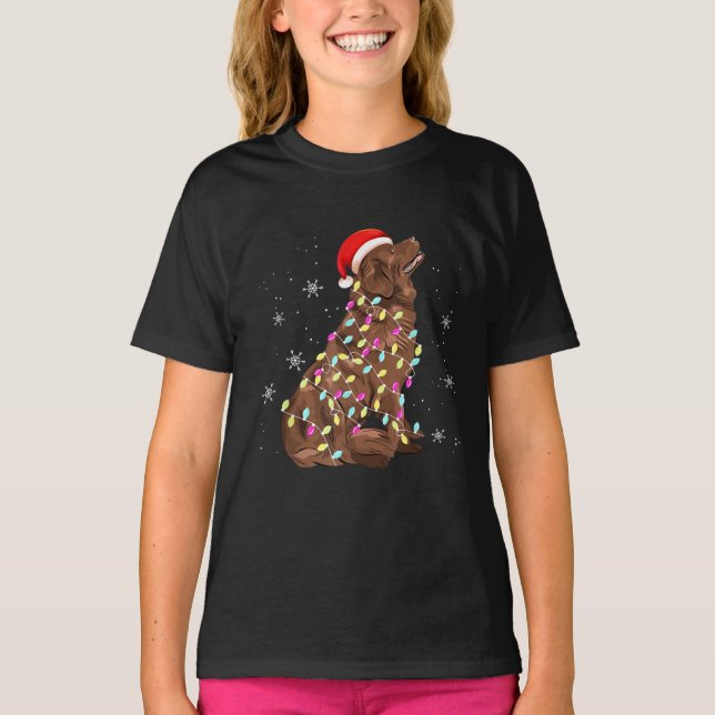 Camiseta Terra Nova - Luz de Natal | Sobrenome De Cães (Frente)